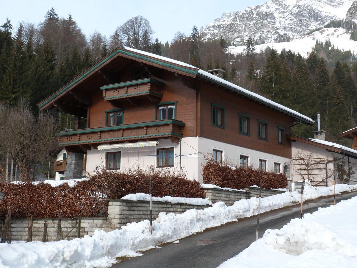 Premium Chalet Andrea Leogang Ngoại thất bức ảnh